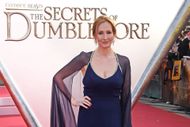"Fantastic Beasts: The Secrets Of Dumbledore" - World Premiere - VIP Arrivals (Image via Getty)